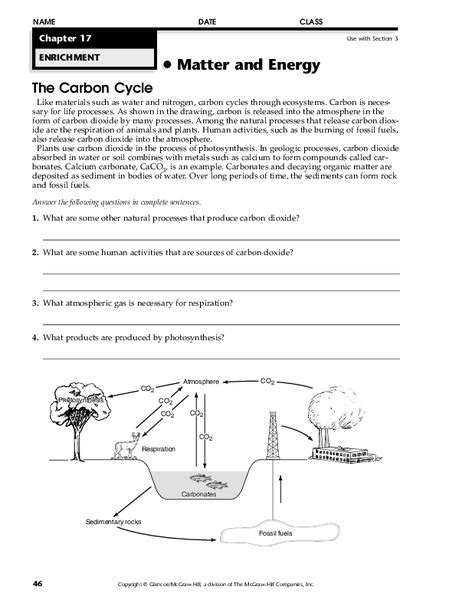 The Carbon Cycle Worksheet for 5th - 12th Grade | Lesson Planet
