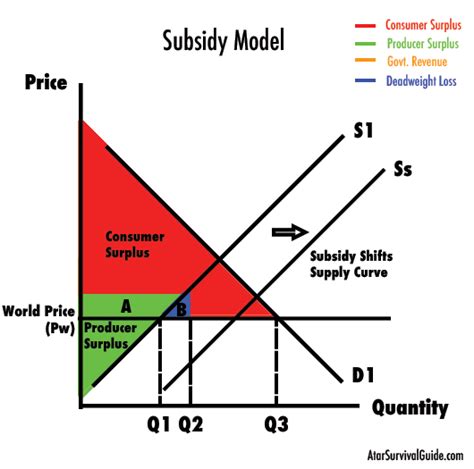 The Carrier Subsidy Model