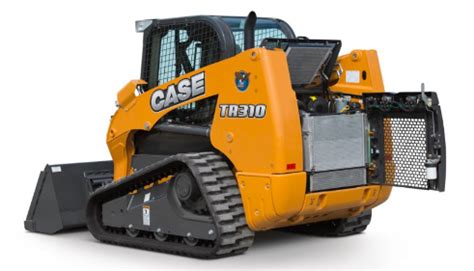 The Case Tr310 Labyrinth A Complex Web of Problems