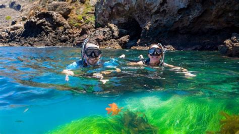 The Channel Snorkeling