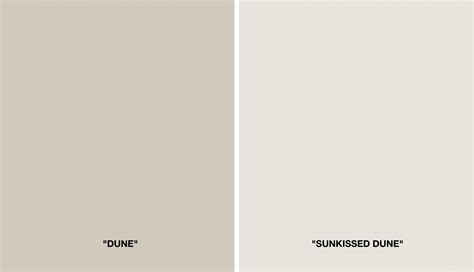 The Coloring Process: Achieving Beige Perfection