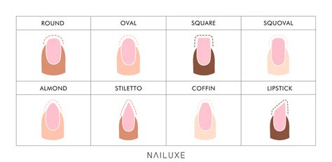 The Complete Guide to Nail Shapes for Every Hand Type