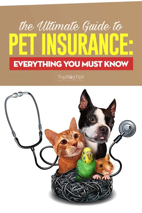 Image related to the comprehensive guide to pet insurance plans