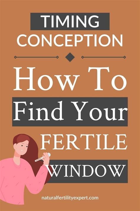 The Conception Window: Timing is Everything