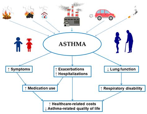 The Connection Between Air Pollution And Asthma