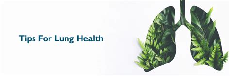 The Connection Between Air Quality And Lung Health