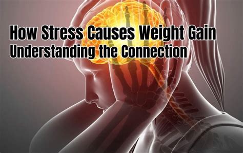 The Connection Between Chronic Stress And Weight Gain