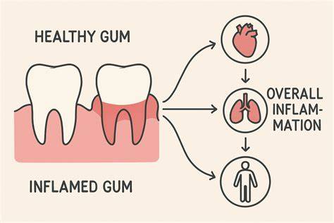 The Connection Between Gum Health And Systemic Wellness
