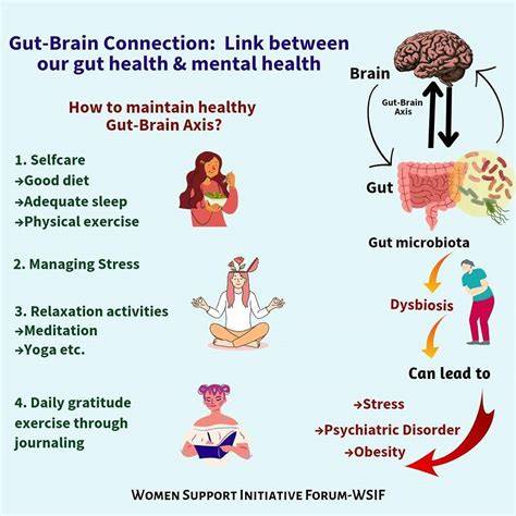 The Connection Between Gut Health And Mental Performance