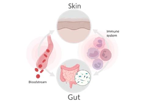 The Connection Between Gut Health And Skin Conditions