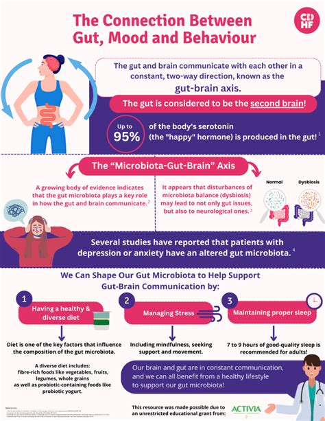 The Connection Between Gut Microbiome And Mood Stability