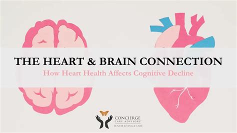 The Connection Between Heart Health And Cognitive Decay