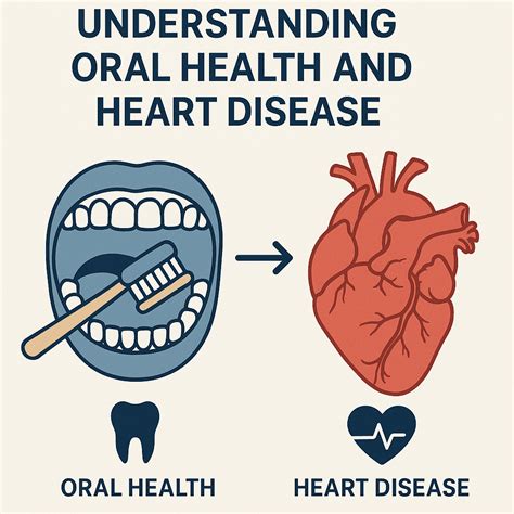 The Connection Between Heart Health And Oral Hygiene