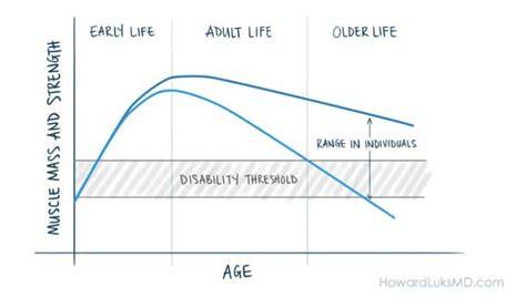 The Connection Between Lean Muscle And Long-Term Longevity