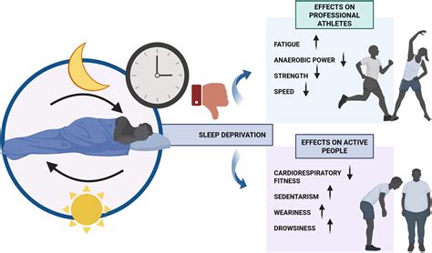 The Connection Between Physical Activity And Sleep Efficiency