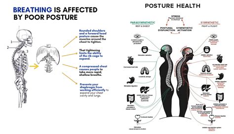 The Connection Between Poor Posture And Breathing Issues