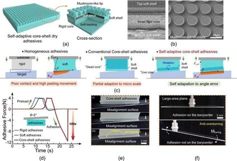 The Core Challenge Adhesion