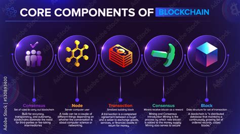 The Core Components of Your Blockchain Account