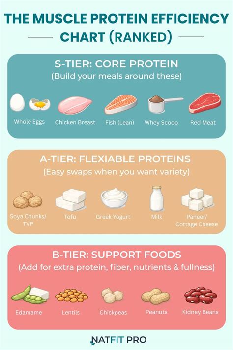 The Core Protein Sources: Building Blocks of Muscle