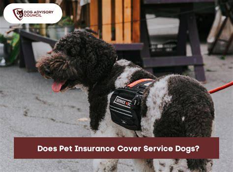 The Core Question: Does Health Insurance Cover Service Dog Costs