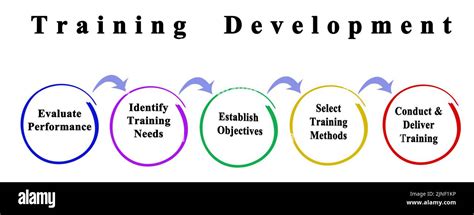 The Core Training Stages