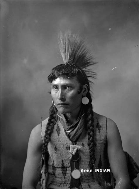 The Cree Indian Tribe