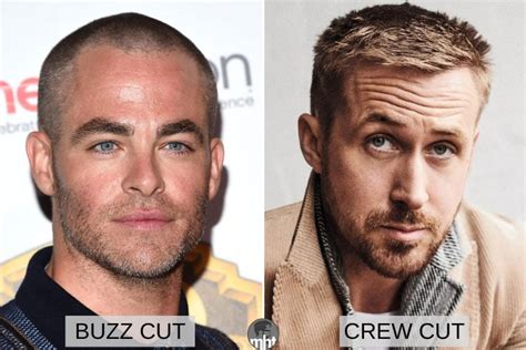 The Crew Cut / Buzz Cut
