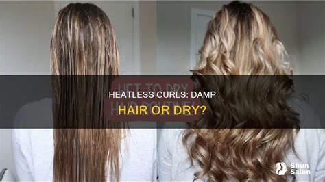The Crucial Damp Hair Rule