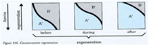 The Current Scientific View on Regeneration