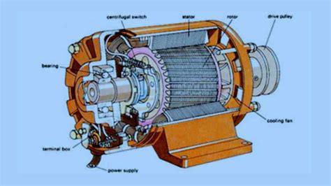 The Detangling Dynamo