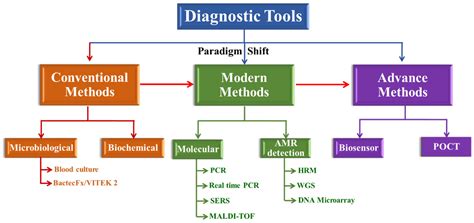 The Diagnostic Process: Key Tests Involved