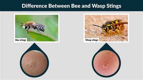 The Difference Between Bee and Wasp Stings