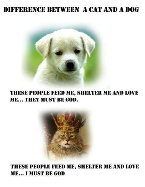 The Difference Between Cats and Dogs Janet Carr
