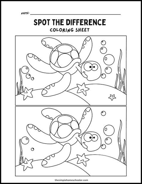 The Difference Between Easy and Detailed Coloring
