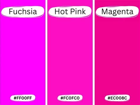 The Difference Between Shocking Pink and Hot Pink