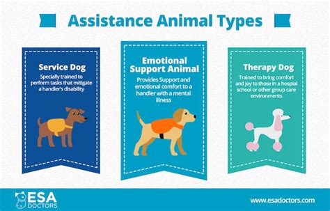 The Difference Between an ESA and a Service Animal
