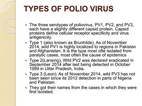 The Different Types of Polio Viruses