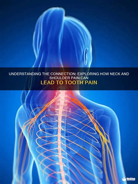 The Direct Connection: How Tooth Pain Radiates
