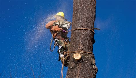 The Divestiture Mandate