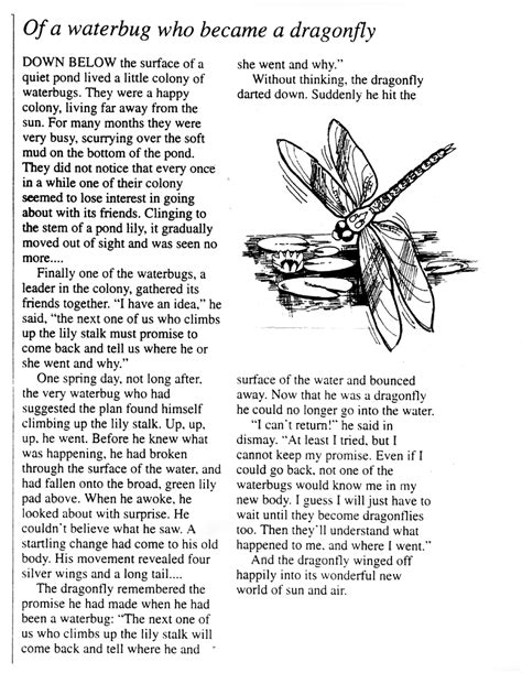 The Dragonfly Story Printable