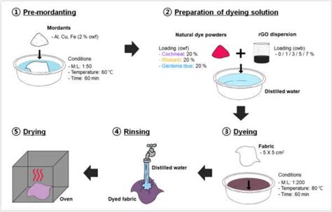 The Dyeing Process: Step-by-Step Application