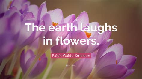 Download The Earth Laughs In Flowers