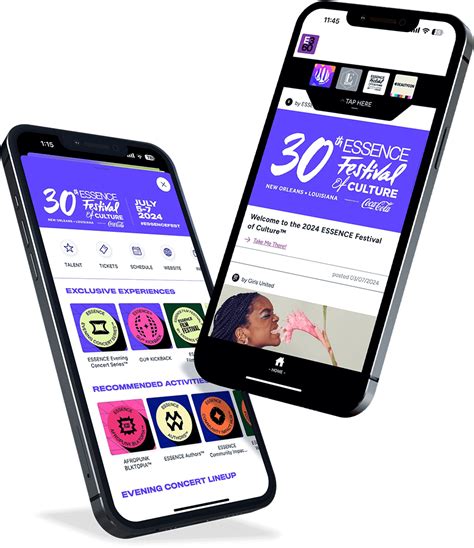 The Essence of Application in Scientific Knowledge