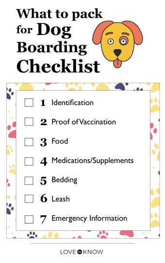 The Essential Dog Boarding Packing Checklist