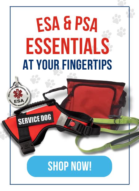 The Essential First Step: Qualifying for a Service Animal