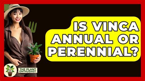 The Essential Pre-Game: Bleaching for Periwinkle Success