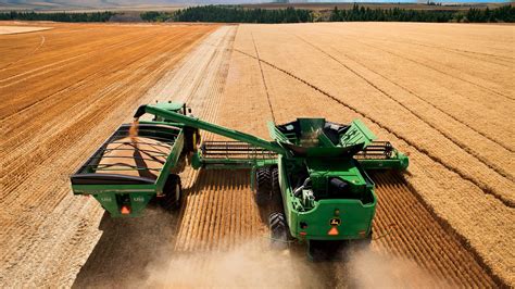 The Evolution of Agricultural Efficiency