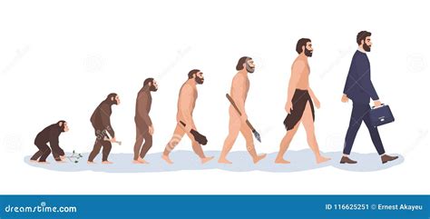 The Evolutionary Process