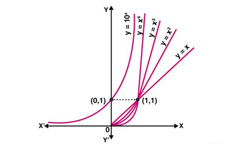 The Exponential Function