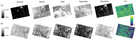 The Extent of Picture Modifying In Journals